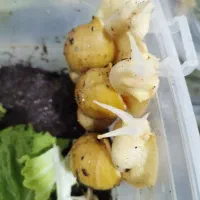 واگذاری فوری  ۱۵۰ تا حلزون مولد آلبینو