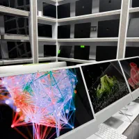 آل این وان imac M1|رایانه رومیزی|تهران, اسکندری|دیوار