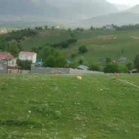 زمین ۳۶۵ با کاربری مسکونی، در منطقه رو به رشد.|فروش زمین و ملک کلنگی|کلاردشت, |دیوار