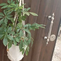 اویز و شلف مکرومه|صنایع دستی و سایر لوازم تزئینی|میانه, |دیوار