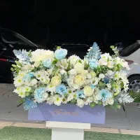 باکس تولد پرهام کد ۱۷۴۶ گلاریس