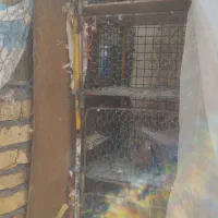 جفت کن آهنی