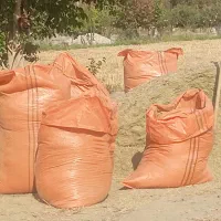 کاه ماش