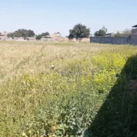 زمین-در-روستای-شلیلی-بزرگ-شوشتر