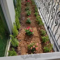 باغبانی و درختکاری (سم پاشی )|خدمات باغبانی و درختکاری|تهران, ونک|دیوار