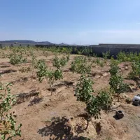 فروش زمین ۱۰۰۰ متری در اخترآباد