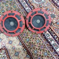 بوق معمولی سالم