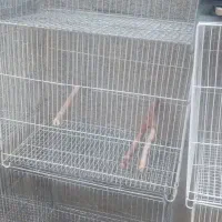 قفس۱۸تا جادونی آب خوری۱۷