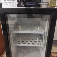 دستگاه جوجه کش 84تایی