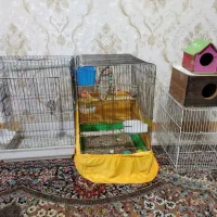 قفس پرنده