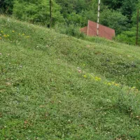 زمین-317-متری-دیزکوه-گیلان-کاملا-مسکونی