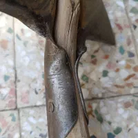 بیل کشاورزی|ابزارآلات|شهرکرد, |دیوار