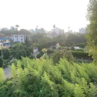 پروژه مشارکت، ۳۵۰ متر، متل قو (سلمان شهر) دریاگوشه|مشارکت در ساخت املاک|سلمان‌شهر, |دیوار