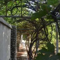 اجاره سالیانه ویلای سه طبقه با دو استخر|اجارهٔ خانه و ویلا|کوهسار (البرز), |دیوار