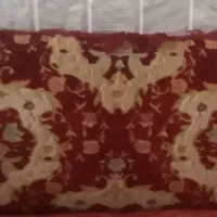 ۲ جفت پشتی