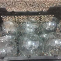 تنگ ماهی|ماهی|شیراز, شهرک قمشه|دیوار