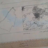 باسلام. ۲۰۳متر اززمینهای حسینی  سند تک برگ