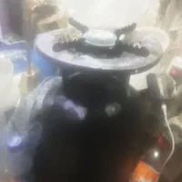 پیکنیک