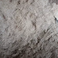 کاه گندم و جو