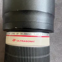 کانن 5Dmark4 Canon EF 70-200mm F2.8L IS II USM|دوربین عکاسی و فیلمبرداری|رشت, کاکتوس|دیوار