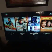 تلویزیون
