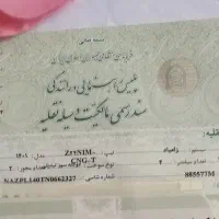 نیسان زامیاد 1401دوگانه تبدیلی