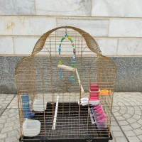 قفس پرنده و طوطی با تمامی لوازم