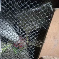 خروس قربانی|حیوانات مزرعه|مشهد, سجادیه|دیوار