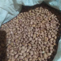 حبوبات شله لوبیا چیتی و رشتی و سفید صدرصد ایرانی