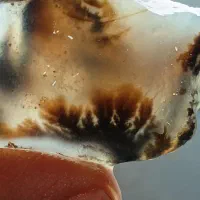 هفت قطعه راف سنگ خام شجر  گلدار قاین