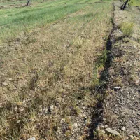 زمین کشاورزی مناسب گلخانه، باغ و باغچه