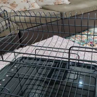 آب چکان شیک ضدزنگ|آب‌چکان و نظم‌دهنده ظروف|اهواز, کوی آغاجاری|دیوار