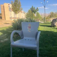 صندلی مطبی نو نو|دفتر کار|سنندج, |دیوار