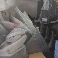 سپر چراغ بدنه زیر قیمت به صورت عمده وکلی فروشی|قطعات یدکی و لوازم جانبی|ورامین, ورامین|دیوار