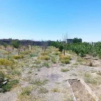 باغ ویلا در شهرستان فریمان بمتراژ 1200متر