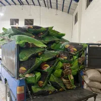 تخمه آفتابی وکدو خام وطعم دار|عمدهفروشی|قم, خداکرم|دیوار