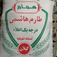 برنج طارم گیلان