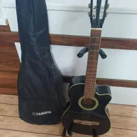 گیتار کلاستیک پیکاپ دار پامادا