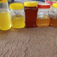عسل طبیعی بومی زنبوردارم|خوردنی و آشامیدنی|اصفهان, کردآباد|دیوار