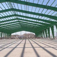 شیروانی میرزایی