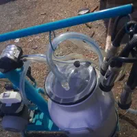 شیردوش|لوازم جانبی حیوانات|سلماس, |دیوار