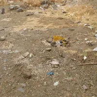 زمین-هوشک-خیابان-شهید-بهنام