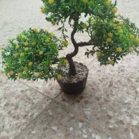 گلدان چوبی با گل مصنوعی