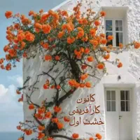 جذب نیروی خانم در یک موسسه فرهنگی و کار آفرینی