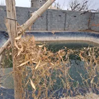 باغچه-کوچک-استخر