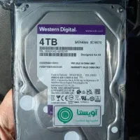 هارد ۴ ترابایت، وسترن دیجیتال بنفش