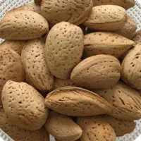 فروش بادام سنگی شهرکرد