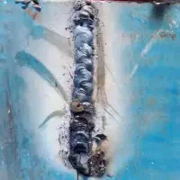 جوشکار سیار کوهدشت