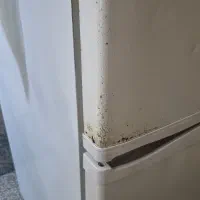 یخچال اسنوا