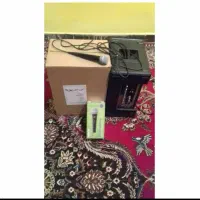 اکو همراه بامیکروفن